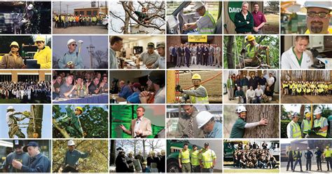 With residential tree service offices across Canada, Davey and our employees are dedicated to providing all aspects of professional tree care for our customers. . Davey tree employee website